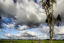 开云体育app-DRX血洗WBG，Knight精彩助攻燃爆全场！