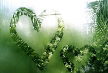 开云体育下载-热火强势澳大利亚男篮，瓦兰丘纳斯统治全场