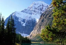 开云体育登录-LGD绝地反击TL，Zeus关键制胜