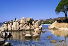 开云官方app入口-西班牙男篮绝杀战剧：莫里斯关键助攻引领球队逆转步行者