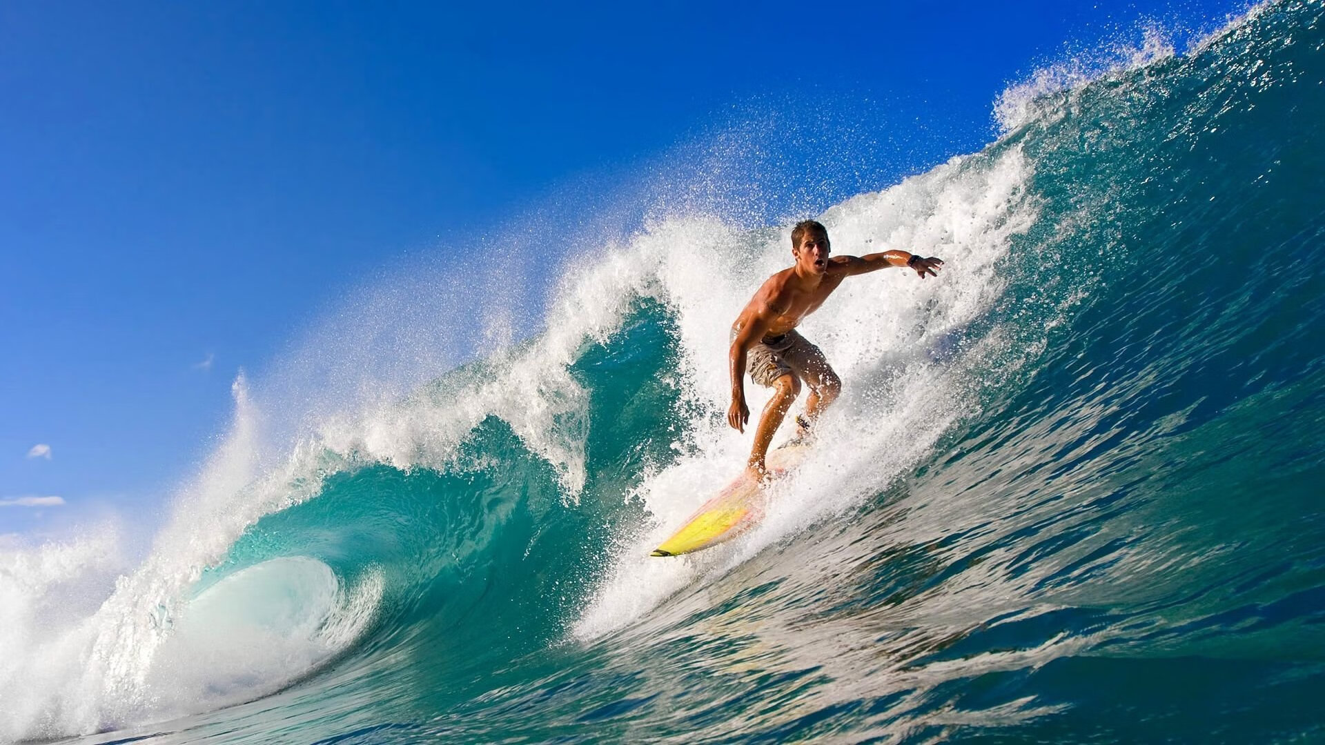 哈利伯顿，印第安纳新王登基，开拓者速胜背后的关键先生